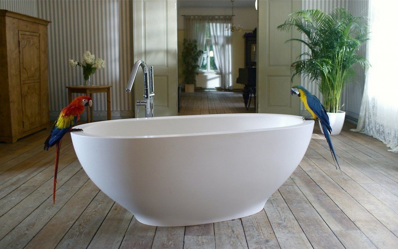 Aquatica Karolina 2 Freestanding Solid Surface Bathtub picture № 0