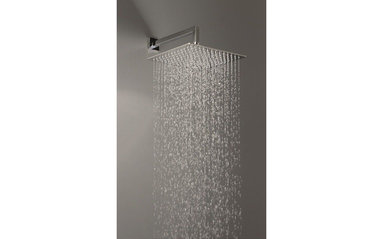 Spring SQ-250 Top-Mounted Shower Head picture № 0