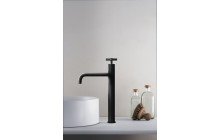 Bathroom Faucets picture № 10